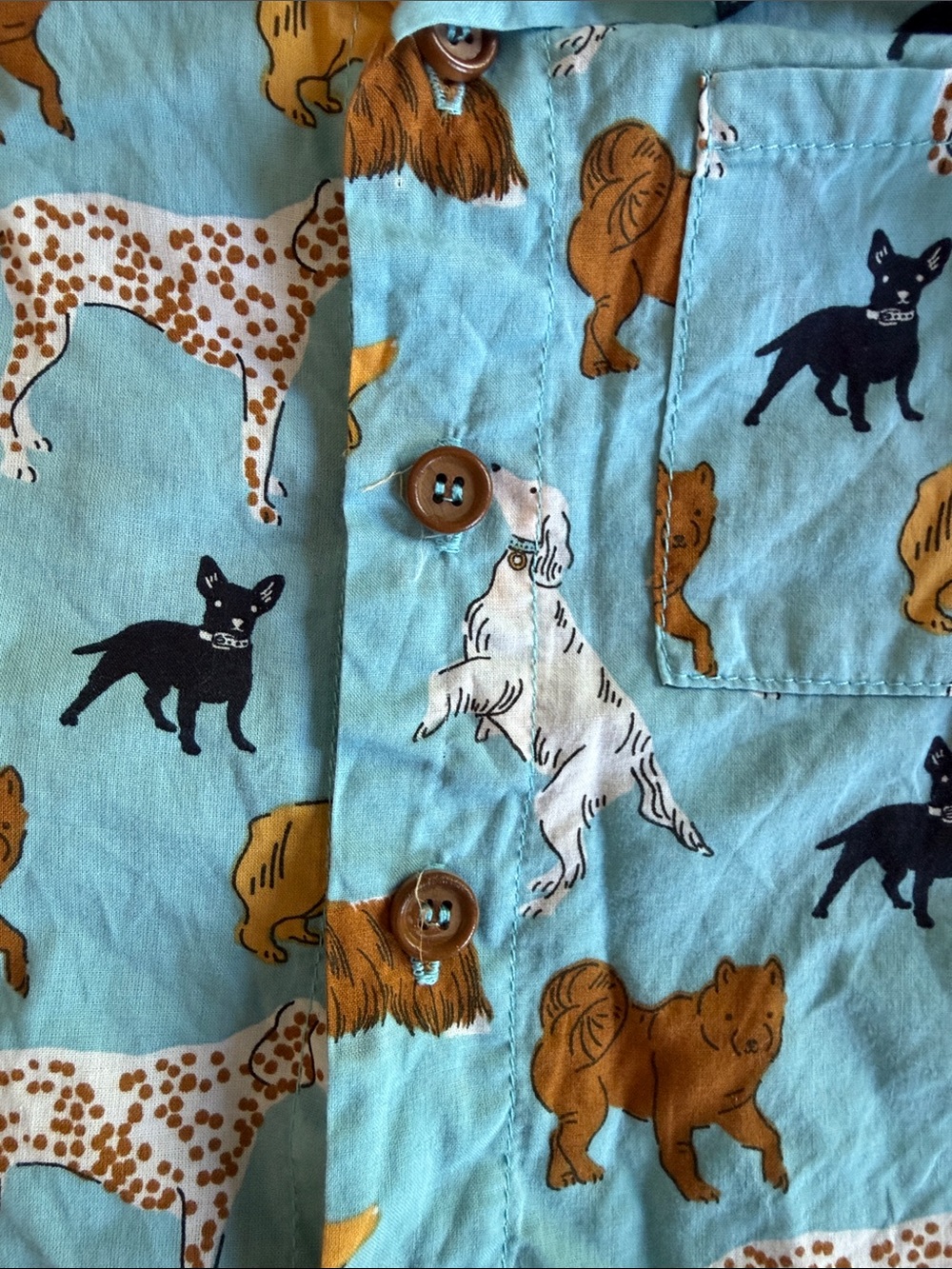 Blue Rooster Collection Light Blue Puppy Pattern Button-Down Shirt - Picture 3 of 4